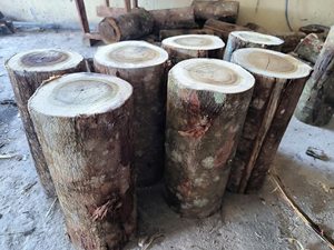 Briquetas de Leña de Acacia y Eucalipto de Vietnam, Secas en Horno, Alto Calor, Larga Duración, Bajo Humo, Ahorro de Energía, para Barbacoa, Shisha, Restaurantes - Product Image 3