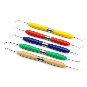 Kit de Restauración Dental Estética de 5 Piezas, Espátulas Dentales con Mango de Silicona para Reparación de Resina Compuesta - Product Image 2
