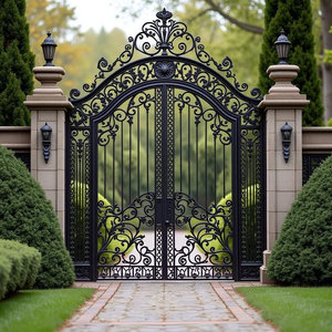 Puerta Decorativa de Hierro Forjado, Puerta de Entrada de Acero Personalizada para Casas, Entrada Elegante, Seguridad y Estilo - Product Image 1