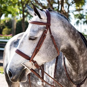 Brida de cuero de tamaño personalizado, brida inglesa, precio al por mayor, equipo de entrenamiento ecuestre, múltiples bridas de cuero para caballos al por mayor - Product Image 4