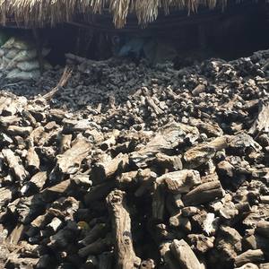 CHARBON DE BOIS POUR BBQ PAR BIWOOD COMPANY FOURNISSEUR AU VIETNAM 100% BOIS FRANC SANS POUSSIÈRE, SANS POUDRE DE CHARBON DE BOIS - Product Image 5