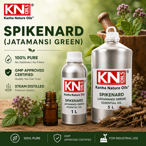 Hot Selling Spikenard Essential <b>Oil</b> Jatamansi Green Organic Certified Nardostachys jatamansi Bulk Manufacturer Global Exporter - Product Image 3