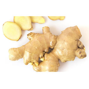 JENGIBRE FRESCO / AJO FRESCO / JENGIBRE FRESCO PARA EXPORTACIÓN EN OFERTA, jengibre fresco y jengibre seco al aire con caja de cartón y cajas de plástico - Product Image 6
