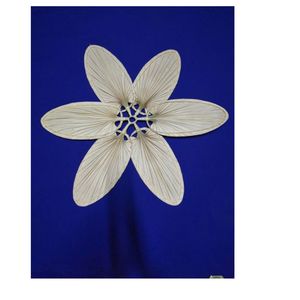 Éventail artisanal en jonc de mer naturel du Vietnam, tissé en feuilles de palmier, idéal pour la décoration de fêtes, les cadeaux événementiels et la présentation en magasin. - Product Image 1