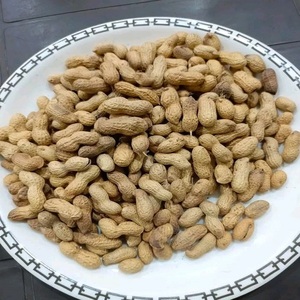Compre Cacahuetes Blanqueados, Cacahuetes Crudos, Cacahuetes de Java, Núcleos de Cacahuete Crudos, Cacahuete Crudo con Cáscara - Product Image 3