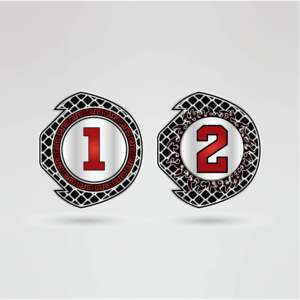 Ceinture de championnat de lutte Red Huzaim Elite Sports avec plaque centrale dorée et quatre plaques latérales (Laiton Zinc) – Équipement personnalisable - Product Image 3