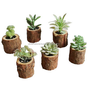 Florero de madera 100% auténtica para encimera y escritorio, florero decorativo de madera, superventas - Product Image 4