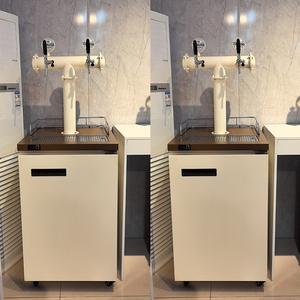 Máquina Dispensadora de Cerveza de Barril, Refrigerador Kegerator con Grifo para Uso Doméstico y Comercial, Dispensador de Cerveza Artesanal de Bajo Consumo - Product Image 5