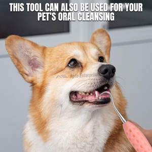 Dental Tartar Scraper Double Ended Stainless Steel Manual Scaler Plaque Tartar Removal Premium Oral Care Tool Dentists - Product Image 5