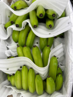 Vietnam Verse Cavendish Bananen Zorgvuldig Geselecteerd Voor Export Zoet En Voedzaam Ideaal Voor De Detailhandel En Foodservice