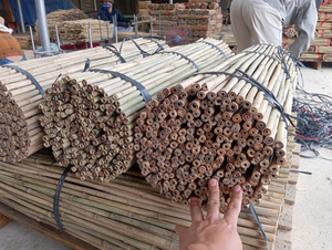[HAUTE QUALITÉ] Canne en bambou Tonkin durable en gros pour la construction de clôtures et les projets de bricolage, personnalisable de la part de Blue Lotus Farm - Product Image 4