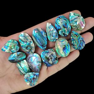 นิวซีแลนด์ paua หอยเป๋าฮื้อเชลล์ราคาต่อกรัม - Product Image 1