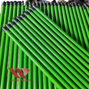 Balai à tête courte enduit de PVC en bois d'eucalyptus de haute qualité de 120cm du Vietnam avec des poils marqués verts pour le nettoyage des sols à la maison - Product Image 1