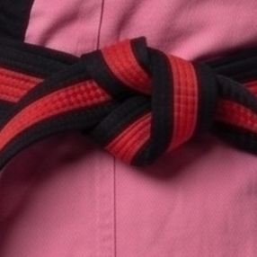 Nouvelle Arrivée 2026 – Tenue d'Arts Martiaux Personnalisée, Uniforme de Karaté Couleur Unie, Fabriqué par un Fabricant Professionnel - Product Image 5