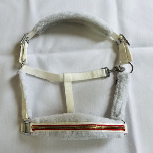 Harnais de cheval réglable en nylon avec rembourrage doux en polaire, muserolle décorative, robuste et confortable, pour l'entraînement en écurie - Product Image 2