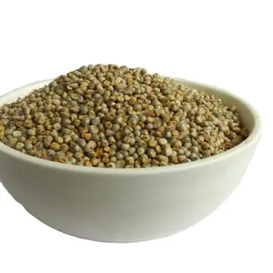 Bajra de mijo verde indio de alta calidad para alimentación animal disponible a precios al por mayor a granel