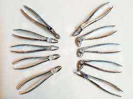 Pinzas Dentales de Alta Calidad, 10 Piezas, Instrumento Quirúrgico Dental para Dentistas, de Dentavex - Product Image 2