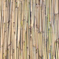 Valla de privacidad de bambú natural ecológica al por mayor barrera exterior sostenible y elegante de Vietnam