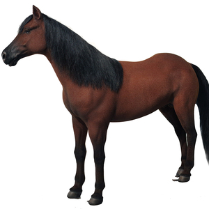 Modelli Animatronici di Cavalli Realistici con Pelliccia Autentica per Decorazione Club Equestri, Cavallo in Vetroresina per Musei Storici - Product Image 6