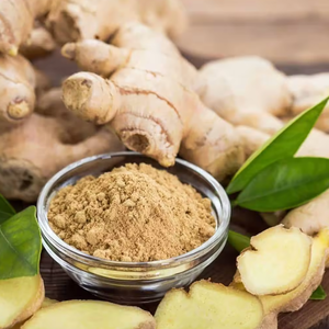 Poudre d'extrait de gingembre de qualité supérieure, fabricant et fournisseur d'extraits botaniques à base de plantes, qualité d'exportation en vrac - Product Image 2