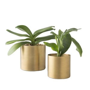 Customized Size Gold <b>Brass</b> Planter <b>Pot</b> for Outdoor and Indoor Use Elegant Flower Vases - Product Image 1