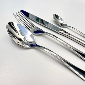 High Quality Silver 18/8 304 Stainless Steel Cutlery Set with <b>Acrylic</b> Handle Elegant Design <b>Mirror</b> Polish - Product Image 2
