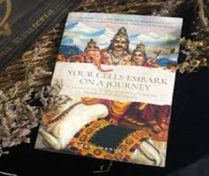 เซลล์ของคุณก้าวเดินไปสู่การเดินทางด้วยหนังสือปกอ่อนภาษาอังกฤษของสวามี มานูเอล หนังสือการรักษาตนเองและการตระหนักรู้เรื่องสุขภาพ - Product Image 1