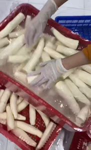 มันสำปะหลังแช่แข็งแบบฝอย ปอกเปลือกจากรากยูก้าสีขาวในเวียดนาม เพื่อการเตรียมอาหารที่รวดเร็วสำหรับการผลิตอาหารระดับโลก - Product Image 2