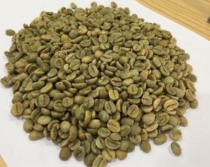 Café Vert Robusta PHALCO de Haute Qualité Grade 1 Tamis 16/18 Vietnam Meilleur Prix Prêt à l'Exportation en Sac de Jute - Product Image 1
