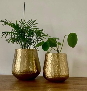 Ensemble de deux jardinières en métal doré martelé, élégantes et décoratives, pour plantes d'intérieur et décoration de la maison - Product Image 1