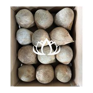 Coco semidescascarillado fresco, favorito de los clientes, limpio, seguro, de calidad de exportación, para recetas de aperitivos y bebidas de cafetería, directamente de la fuente de coco. - Product Image 1