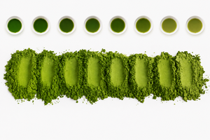 Matcha Japonés de Grado Ceremonial de Uji de Alta Calidad al por Mayor - Product Image 2