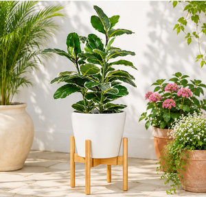 Support de plantes en bois de qualité supérieure, porte-pot de fleurs pour jardinières, support de sol écologique pour la décoration intérieure et de bureau - Product Image 2