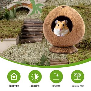 Nichoir pour animaux de compagnie en coquille de noix de coco naturelle avec échelle et corde de suspension, fabriqué au Vietnam - Nid cachette multi-usages pour oiseaux, hamsters et reptiles - Product Image 6