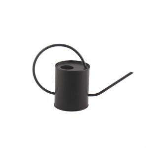 Arrosoir en métal noir avec long bec pour le jardinage, finition peinte durable - Product Image 5