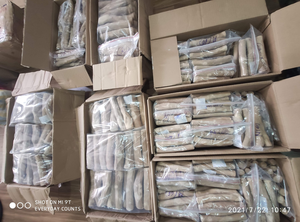 ไม้เคี้ยวสำหรับสัตว์เลี้ยง ยี่ห้อ HOT SELLING ทำจากไม้กาแฟ ปลอดภัย คุณภาพพรีเมียม ไม่มีเศษไม้แตก สำหรับดูแลสุขภาพฟันสุนัข และสุนัขที่ชอบกัดแทะ - Product Image 5