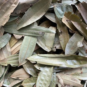Hojas de Canela Secas de Vietnam Premium, 100% Naturales, 24 Meses de Duración, Empaque a Granel para Importadores, Mayoristas y Comerciantes Globales - Product Image 2