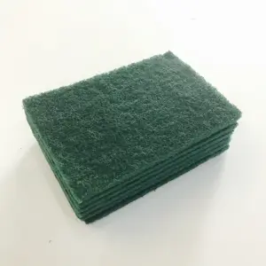 Green Kitchen Scouring Pad