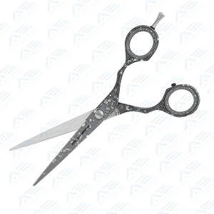 Ciseaux de coiffure en acier inoxydable de 10 pouces lames droites tranchantes pour la coupe de cheveux Instruments de beauté Instruments de soins de beauté - Product Image 2