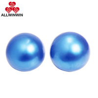 ALLWINWIN WGB02 Bola Beban - Medicine Wall Slam Dead Med Weighted