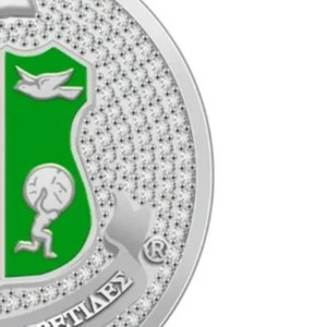   Broche con Emblema de Escudo para Mujer, Elegante Broche de Color Plateado, Joyería de Moda, Pin con Estilo, Accesorio, Regalo Premium - Product Image 2