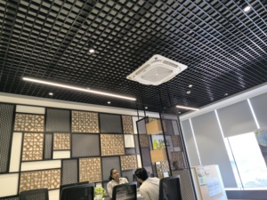 ฝ้าเพดานแบบเปิด - Product Image 3
