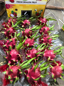 Fruta de dragón de Vietnam Premium con piel verde y carne blanca Fruta tropical de grado de exportación Ideal para mercados minoristas globales - Product Image 5