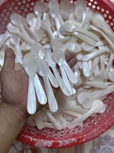 Export Grade Natural Seashell Caviar Spoon | Non-Reactive Mother of Pearl Tasting Spoon Wholesale - Product Image 2