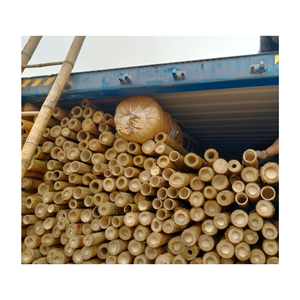 Bastones de Bambú de Primera Calidad para Construcción y Aplicaciones de Paisajismo - Product Image 1