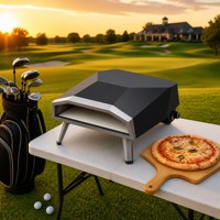 Four à pizza au gaz propane de 12 pouces O-12G-S, sans rotation, pour jardin, pique-nique, barbecue, vente en gros