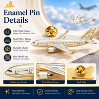Plaque en émail plaqué or de haute qualité en forme d'avion, modèle d'avion 3D réaliste, badge métallique pour les passionnés d'aviation, souvenir