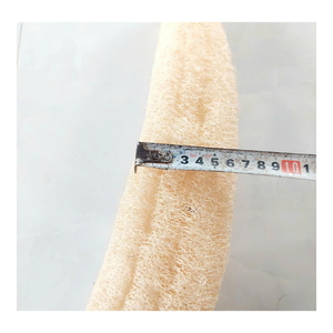 ฟองน้ำใยบวบธรรมชาติรักษ์โลก จำหน่ายส่ง ฟองน้ำใยพืชทำมือ สำหรับทำความสะอาดห้องครัว อาบน้ำ และดูแลส่วนตัว - Product Image 5