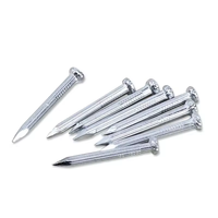 Clous en fer de qualité industrielle pour béton avec tige spirale polie, tête plate, pointe acérée - Diamètre personnalisable pour usage en construction