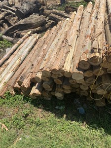 Estacas de Madera de Eucalipto Duraderas a Precio Económico, Postes de Madera Dura para Soporte de Plantas, para Jardín, Árboles, Enredaderas y Uso en Paisajismo - Product Image 5